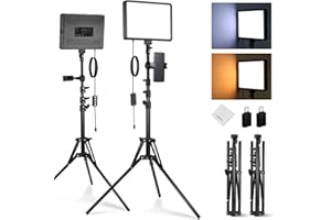 NEEWER BASICS Kit d'Lampe Photo, 2 Panneau LED, Bicolore 2700-6500K, Intensité Variable, avec 2 Trépieds de 59 pouces et 2 Supports de Téléphone,850lux pour Vidéo Photographie Tournage Streaming,BP300