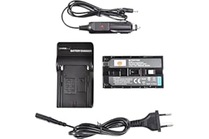 DSTE® Ersatz Batterie und DC01E Reise Ladegerät Compatible für Sony NP-F970 CCD-SC55 CCD-SC65 CCD-TR67 CCD-TR76 CCD-TR87 CCD-TR516 CCD-TR555 CCD-TR716 CCD-TR818 CCD-TR910 CCD-TR917 CCD-TR930 CCD-TR940