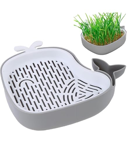 Katzengras Pflanzgefäß Set – 3er Pack, Erdloser Anbau, Einfach Zu Reinigen Für Hauskatzen