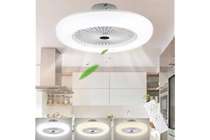 SWANEW 2pcs Ventilateur de plafond 80W avec éclairage & télécommande, Lumière LED Vitesse du vent réglable avec 3 températures de couleur (3000-6500K) Lumière du Ventilateur avec minuterie
