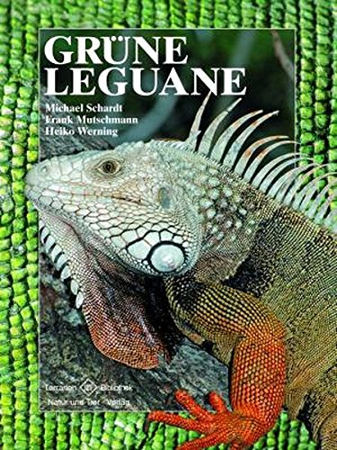 Download Grüne Leguane (Terrarien-Bibliothek) Download Grüne Leguane (Terrarien-Bibliothek)