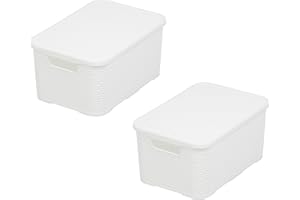 BranQ Home essential Cesta con tapa en diseño de ratán, juego de 2 unidades, tamaño M, 10 L, sin bisfenol A, plástico polipropileno, blanco, 32,3 x 22,5 x 15 cm, 2 unidades