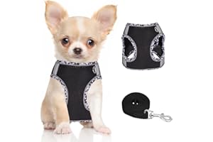 Doggiekit Arnés Reflectante Ajustable para Perros Pequeños y Cachorros - Con Correa y Malla Transpirable - Tamaño Extra Pequeño a Mediano