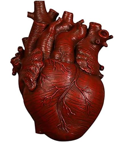 Anatomisches Herz Vase - Origineller Pflanzentopf Mit Mehreren Löchern