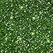 Produktbild EDIBLE GLITTER - HOLLY GREEN / PALMGRÜN - Essbarer Glitzer Farbe - Rainbow Dust + Ausstechform (Bundle)