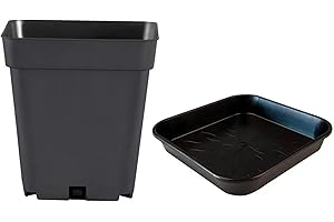 nito GROW EQUIPMENT Blumentopf Set 2 teilig: Topf und Untersetzer mit 14/18 / 25/30 Liter Fassungsvermögen quadratisch Kunststoff Pflanzkübel schwarz (30 L)