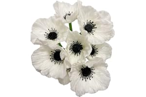 RIKYO 10 flores artificiales de 28 cm de tallo de flores de amapola,flores silvestres artificiales para mesa de cocina, jarrón de mesa de cocina, decoración de boda, telón de fondo de arco de pared (blanco)