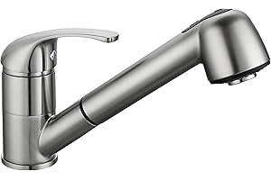 Edouard Rousseau Bago - Miscelatore per lavello con 2 getti, doccetta estensibile, flessibile e doppia pinzatura, 172 x 195 mm (sporgenza), in acciaio inox
