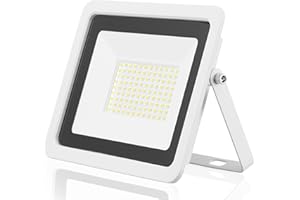 EOCOYAR Luz de Inundación LED 100W 50W 30W 20W 10W Reflector Blanco Ultrafino Foco Proyector Led 230V IP68 Iluminación Exterior Impermeable(100W,Blanco Cálido