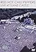 Red Hot Chili Peppers - Live at Slane Castle [Alemania] [DVD]