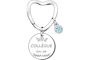 Lumengqi Porte-clés Collègue,Porte-clés Femme,Porte-clés d'amitié,Cadeau de Retraite,Cadeau pour Collègue,Cadeau de Remerciement,Cadeau de Collègue,Cadeau d'appréciation,Cadeau pour Femme