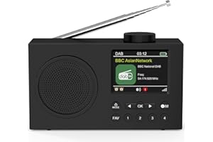 Amazon.de Bestseller: Die beliebtesten Artikel in Tragbare DAB-Funkgeräte