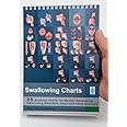 Blue Tree Publishing Swallowing anatomy education (8 x 6 inch desk flipchart)