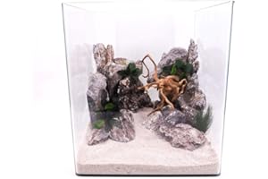 AMTRA TECHNIK Nanotank 60 Aquarium Abdeckung Unterlage Cube Becken Glasbecken Glasaquarium Panoramaglas Glas Süßwasser Würfel Cube