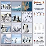Image de Penguin Families 2015 What a Wonderful World