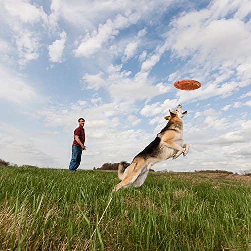 US Sense 9 Inch Flying Frisbee Foam Sport Discs for Adults,Kids,Family,Pet DIY Creativity Cool Throwing Toys Garden/Beach Games 4pack/box Present