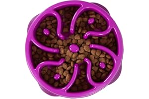 Outward Hound Fun Feeder Slo-Bowl - Gamelle d'alimentation Lente Anti-glouton pour Chien - Taille M/Mini - Violet
