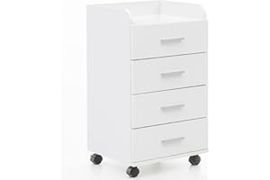 FineBuy rolkowy FineBuy 40 x 70,5 x 33 cm | Pojemnik na biurko Rollschrank 5 szuflad | Współczesny pojemnik z szufladami na kółkach | Pojemnik na stojaki Pojemnik na biuro Pojemnik boczny