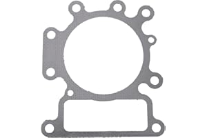 JARDIAFFAIRES Guarnizione testata Briggs Stratton 796584 per motore INTEK