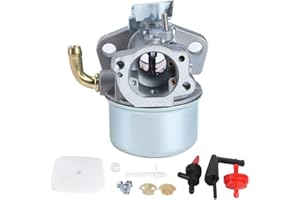 TERISASS Carburador Carb motores Reemplazo con junta 798653 693865 Ajuste para Briggs & Stratton