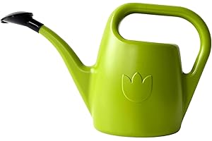 PLASTIA Regadera Pequeña con Alcachofa para Plantas de Interior 2 L – Regadera Plantas con Pico Largo para Riego Fácil – Regaderas Jardín de Plástico, Verde Claro