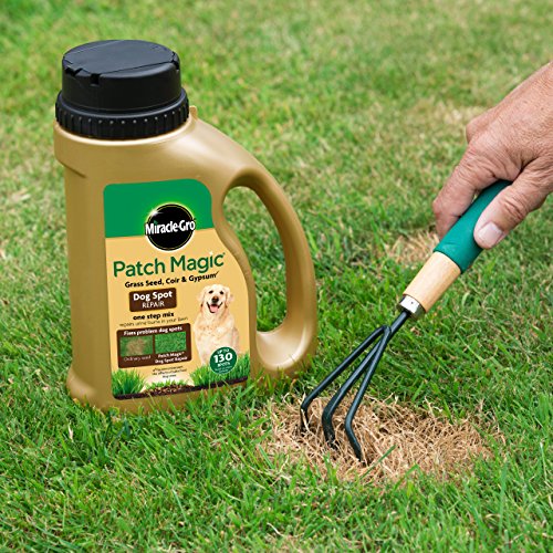 Miracle-Gro Patch Magic Dog Spot Repair 1293g