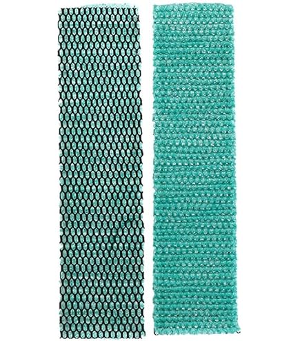 HpLi Lot De 2 Filtres De Climatisation En Coton - Éléments Filtrants Pour Air Plus Propre Et Sain (Type C)