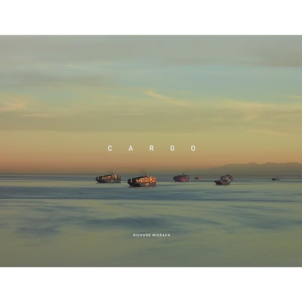 Petrochemical America: Amazon.co.uk: Richard Misrach, Kate Orff