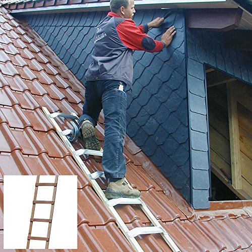 DachLeiter (Holz), 16 Sprossen