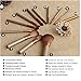 LA HAUTE Cosmetics Makeup Brushes 12-Piece Makeup Brush Set Professional Essential Kabuki Brush Kits