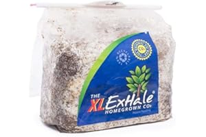 CITY HYDROPONICS Exhale Co2 Bag XL