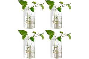 Nuptio 4 Piezas de Vidrio de Cristal Colgante de Pared Florero Maceta Terrario Contenedor Maceta