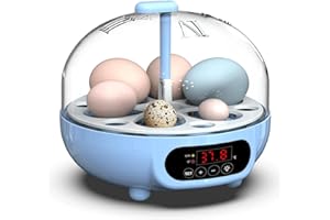 DEZHXHE Incubator for Eggs Automatic Turning, Egg Incubator for Hatching Eggs, Digital Mini Fully Automatic Egg Incubator 6 Eggs, Self-Contained Led Egg Candling, Breeder for Chicken, Duck, Goose