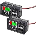 TERRIFI 2PCS Battery Capacity Monitor - Indicator Meter, ICStation DC 8-30V Digital Battery Meter with 2 USB Ports, RV Battery Monitor 12V with Power-Off Memory, for Marine, RV, Golf cart Motorcycle