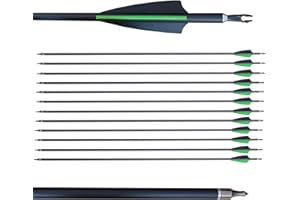 biubiusot 12 Stück Carbonpfeile 30 Zoll 500 Spine Bogenpfeile Jagdpfeile Pfeile Pfeilspitze für Recurvebogen Compound Bogen