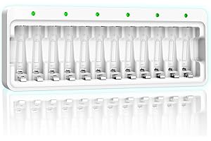 Dlyfull 12 slot AA AAA Battery Charger for Ni-MH Ni-CD AA AAA Rechargeable Batteries Charger Type-C High-Speed Charging Intelligent Detection Technology
