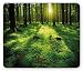 Produktbild Green Mouse Pad, Morning in The Misty Summer Forest with Sun Rays Digital Artwork Print, Standard Size Rectangle Non-Slip Rubber Mousepad, Forest Green and Yellow