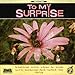 Produktbild To My Surprise