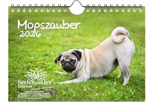 ‎SEELENZAUBER Mopszauber DIN A5 Kalender für 2026 Mops Hunde und Welpen - Seelenzauber
