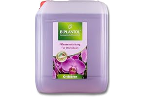 BIPLANTOL® Orchideen - 5L Nachfüllkanister | natürliche Orchideen Pflege für Blühfreudigkeit & Vitalität | Orchideen Spray, anwendungsfertige Sprühlösung ohne Kalkrückstände