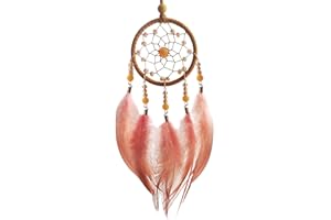 DRIFLO Dream Catcher with Feathers Handmade Woven Dream Catchers Ornaments for Girl Gift Romantic Art Dreamcatcher with Beads for Wall Hanging Home Children Bedroom Decoration Craft (pinkish-brown)
