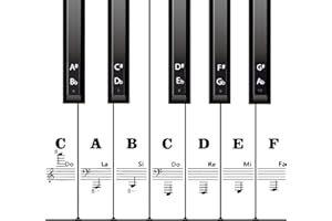 AIEX Adesivi per Tastiera Pianoforte per Tasti 88/61/54/49, Adesivi per Note Pianoforte Rimovibili e Trasparenti Lettere per Tastiera Piano per Principianti Bambini (Bianco e nero)