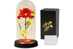 TOULOUBE Rosa Eterna Regalos para Mujeres,La Bella y la Bestia Rosa,Kit de Rosas,Elegante Cúpula de Cristal con Luces LED y 1 Tarjeta de Felicitación,Regalo de Flores Artificiales para Mujeres, Mamá, Esposa