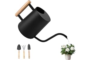 BBWELL Arrosoir en Acier Inoxydable,1L Arrosoir pour Plantes D'intérieur,Arrosoir Petit avec Long Bec et Outils de Jardinage en Pot,Poignée en Bois Confortable,Arrosoir Plante pour Fleurs de Jardin