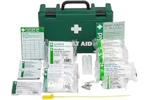 Safety First Aid Group Workplace First Aid Kit (Small 1-10 Persons) Economy HSE-Compliant with Inspection Tags, Wall Bracket, Extra Plasters