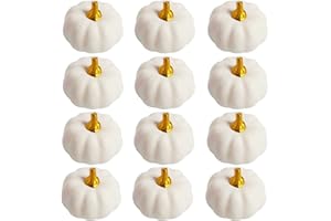 POPOYU Set di 12 zucche artificiali bianche autunnali, decorazioni sfuse, zucche finte da raccolto, mini zucche in schiuma, decorazione per Halloween, artigianato, autunno, matrimonio, Halloween, feste,