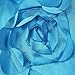SA Newborn Baby 3D Rose Backdrop Receiving Blanket ,Baby photography background (Blue)