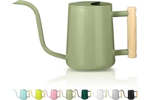 Vattenkanna inomhusväxter, 1 liter vattenkanna liten inomhus metall rostfritt stål modern lång pip dekorativ vattenkanna för