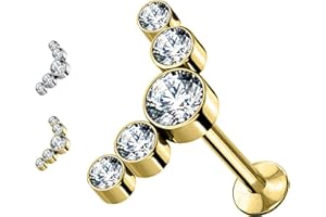 AWAKEN Piercing Labret Acciaio Chirurgico Filettato Internamente Stud Orecchini Borchie Cartilagine Helix Tragus Conch Medusa Daith Piercing a Bottone