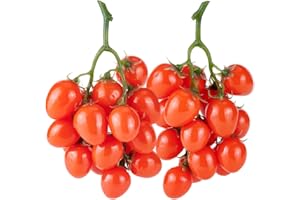 PH PandaHall 2pz Pomodori Finti per Decorazioni Frutta Artificiale Realistica, Rosso Pomodoro Frutta Finta Decorativa Oggetti di Scena per Armadietto Cucina Domestica Festa
